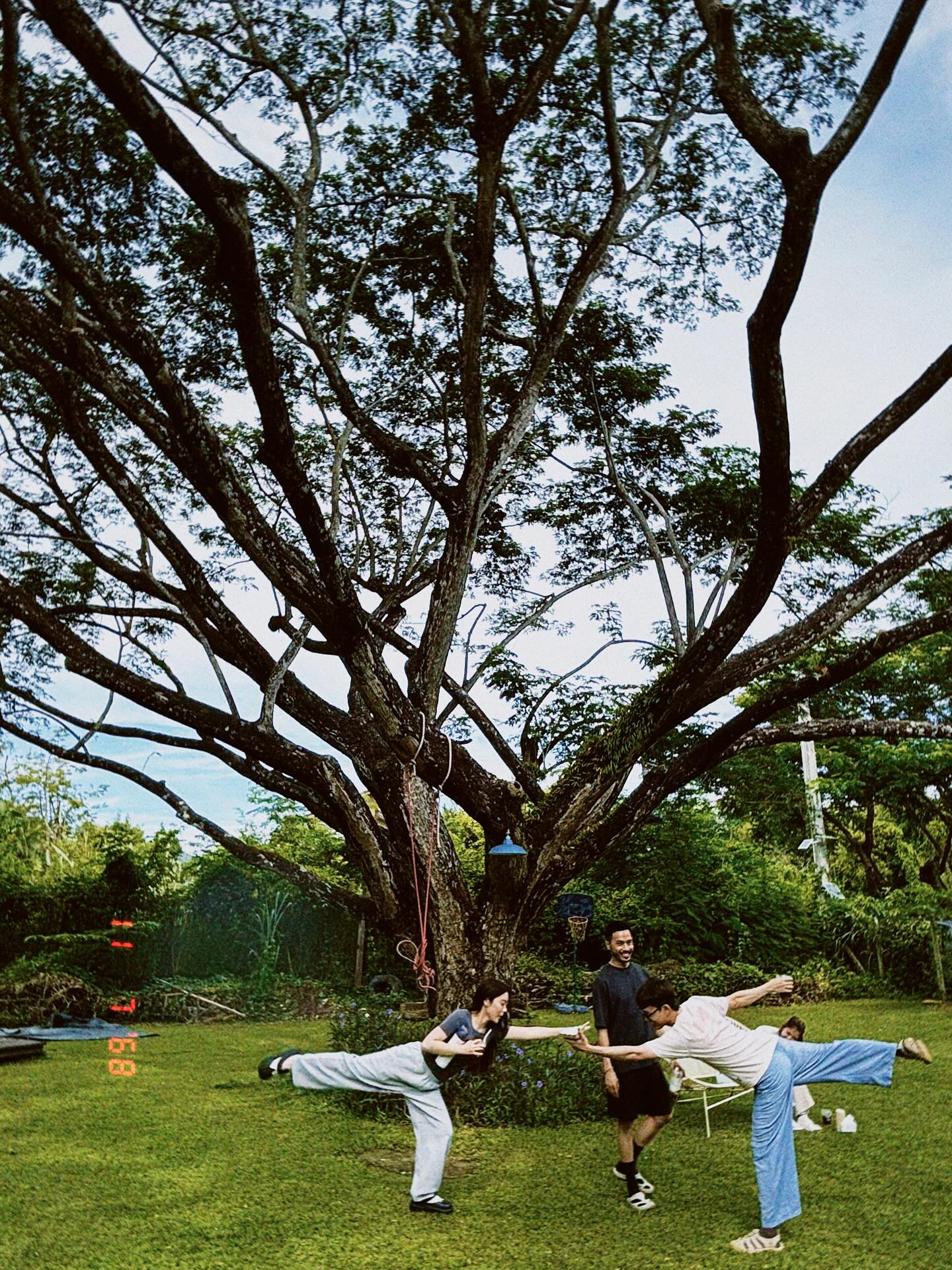 เพชร - เผ่าเพชร เจริญสุข