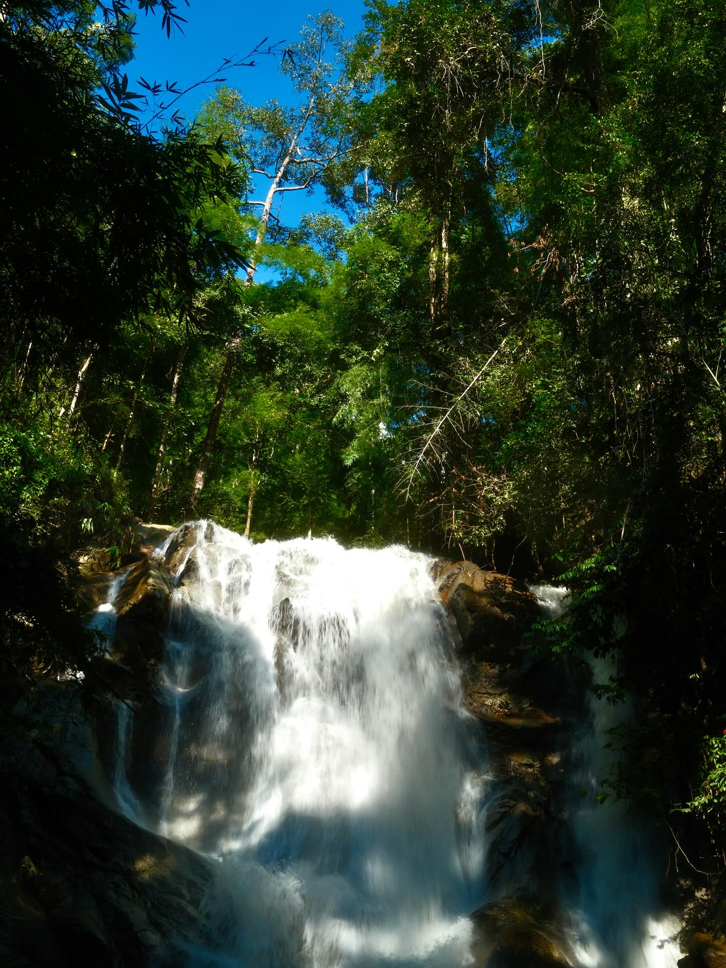 เพชร - เผ่าเพชร เจริญสุข