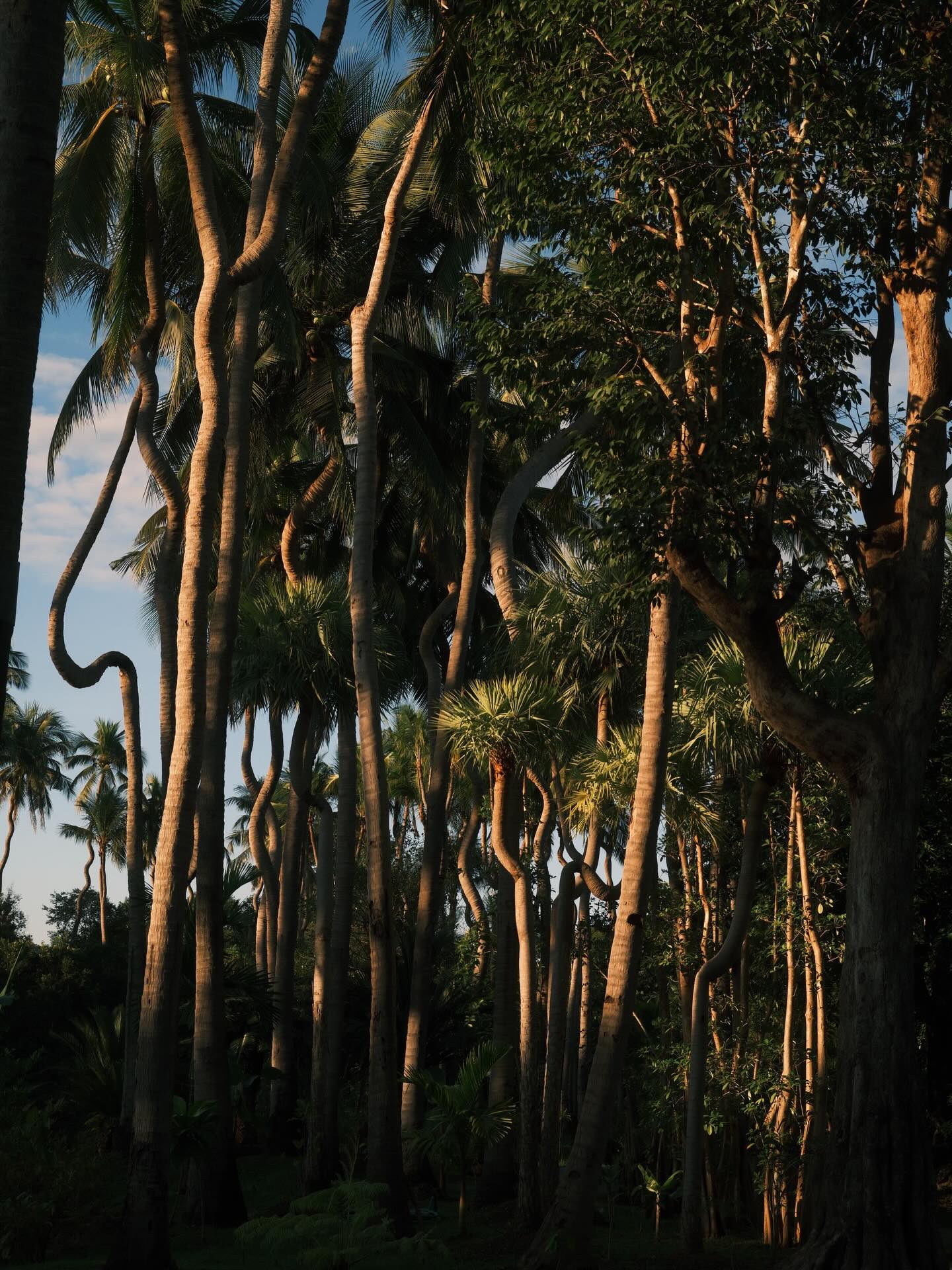 เพชร - เผ่าเพชร เจริญสุข