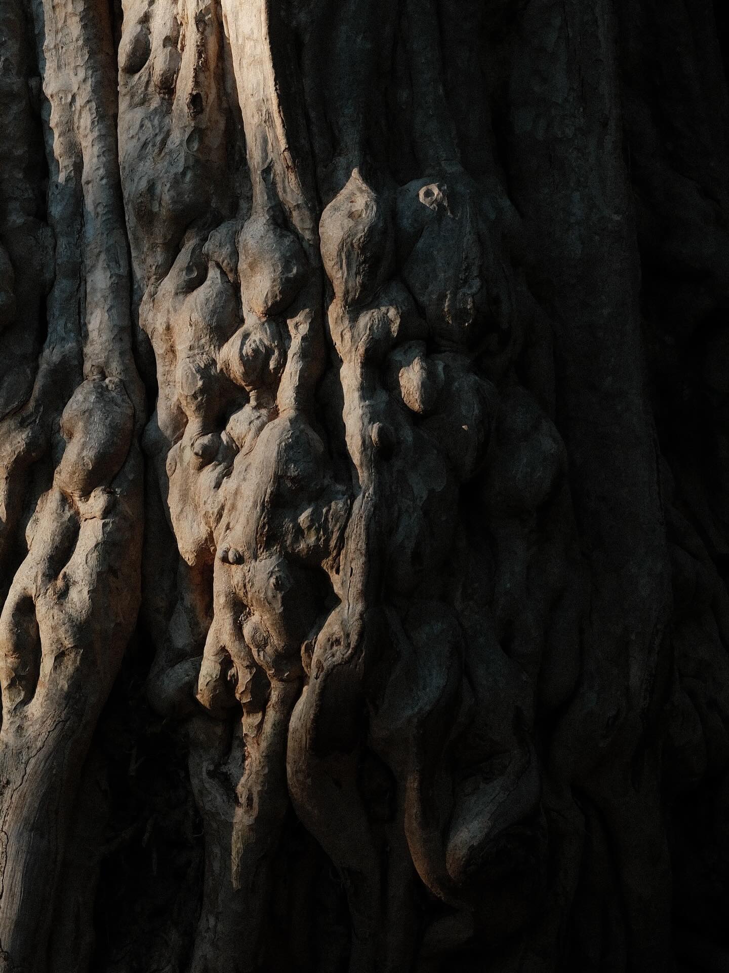 เพชร - เผ่าเพชร เจริญสุข