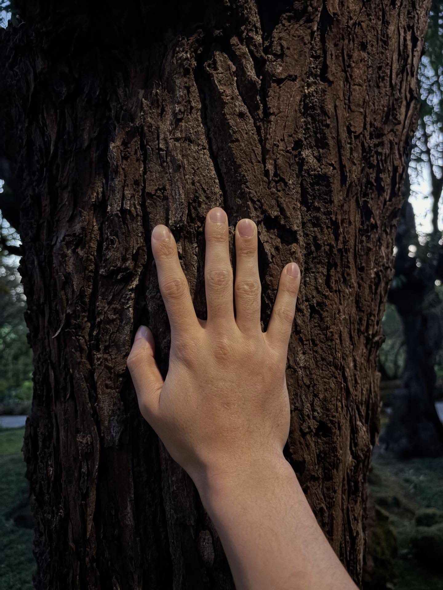 เพชร - เผ่าเพชร เจริญสุข