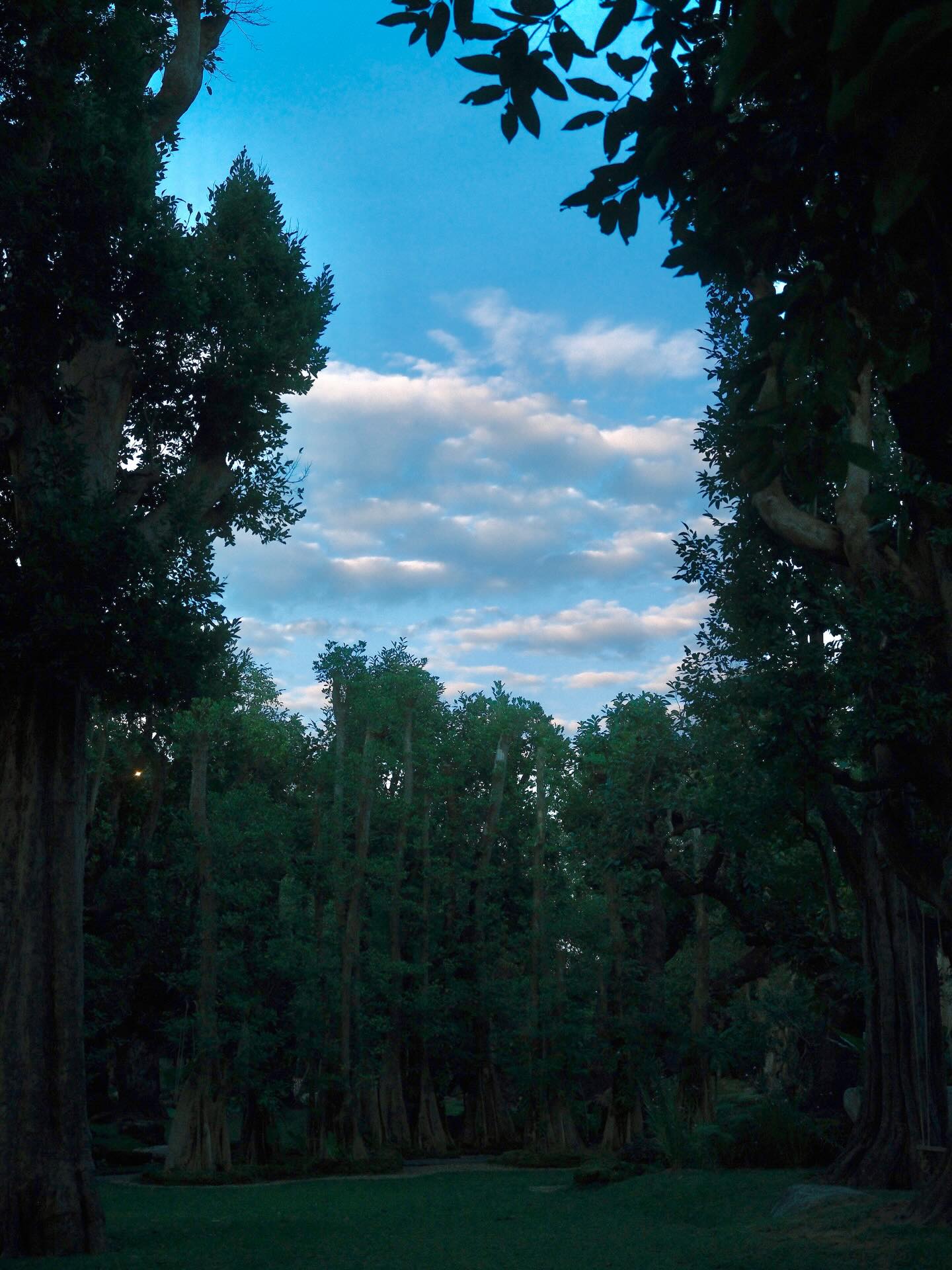 เพชร - เผ่าเพชร เจริญสุข