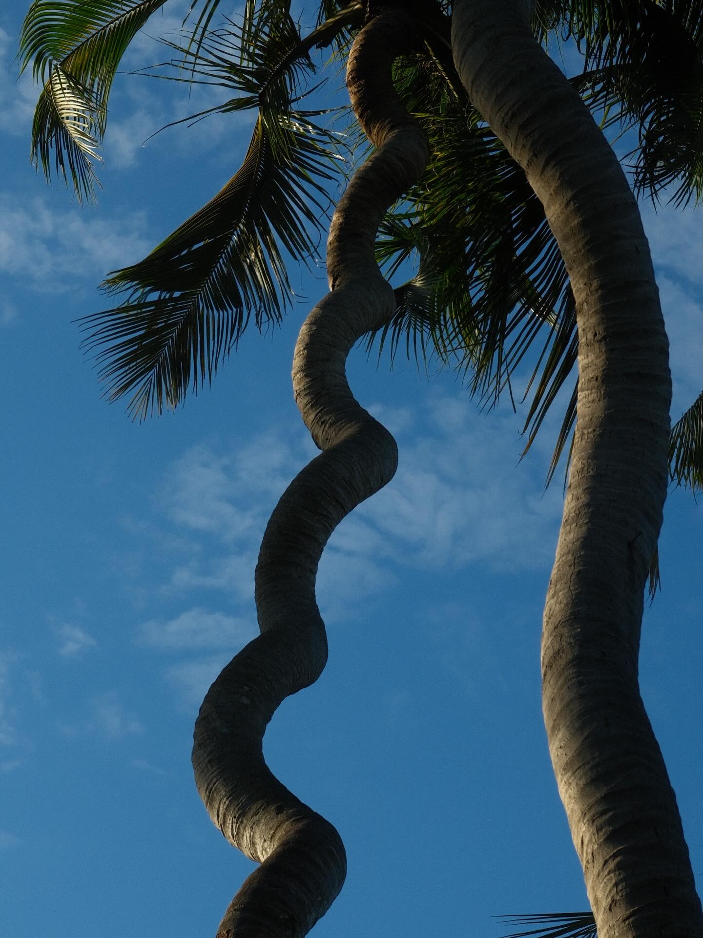 เพชร - เผ่าเพชร เจริญสุข