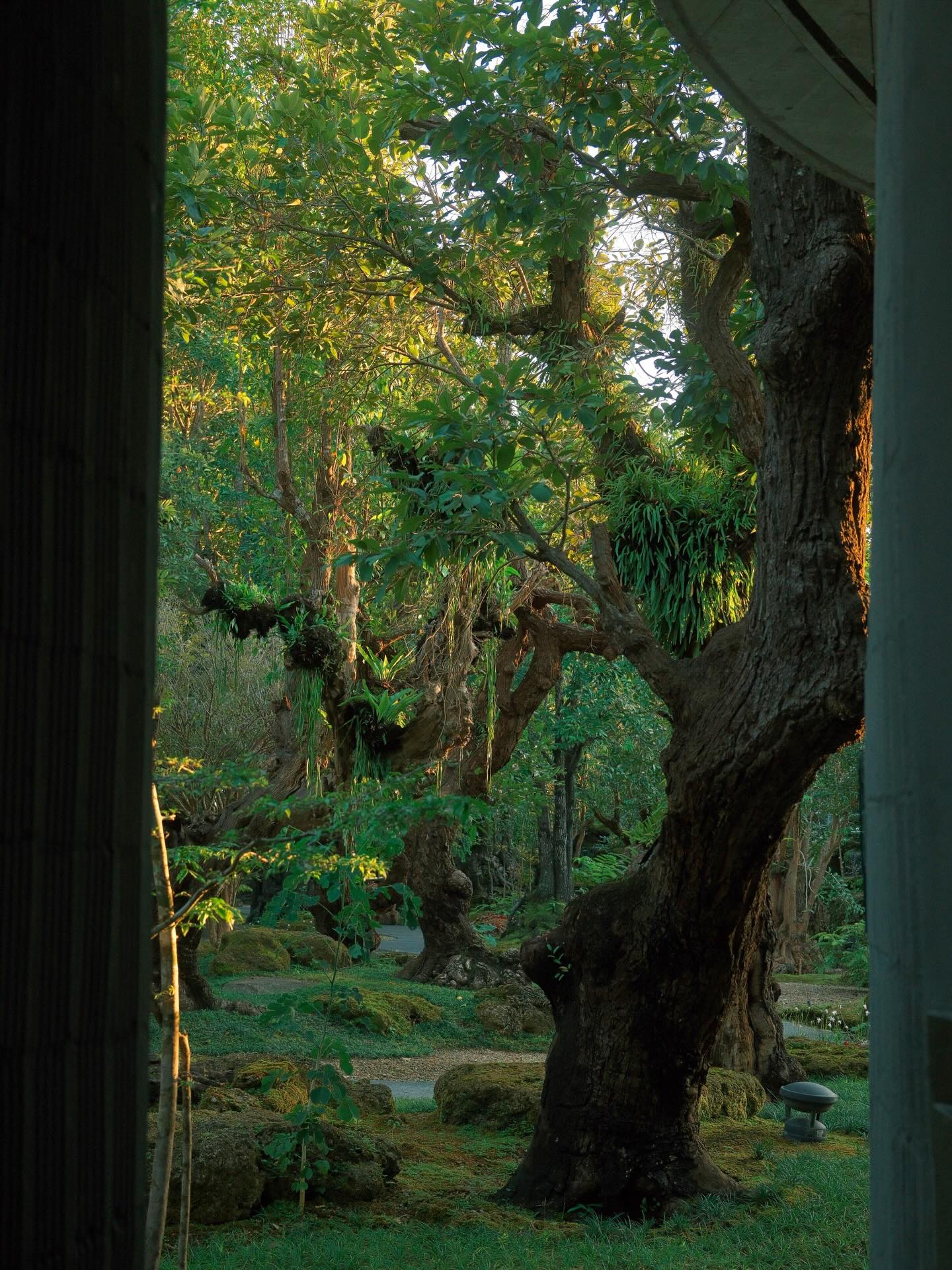 เพชร - เผ่าเพชร เจริญสุข