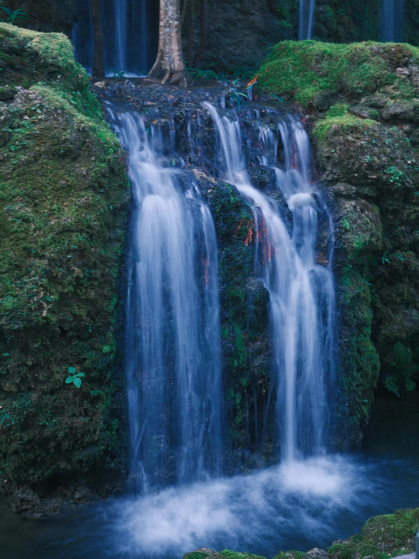 เพชร - เผ่าเพชร เจริญสุข