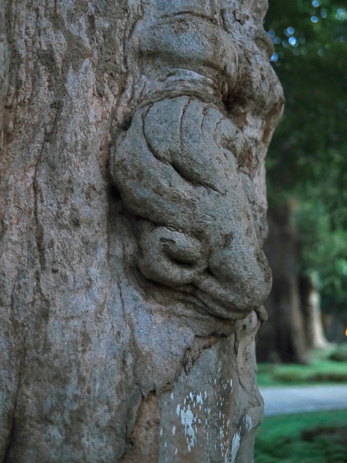 เพชร - เผ่าเพชร เจริญสุข