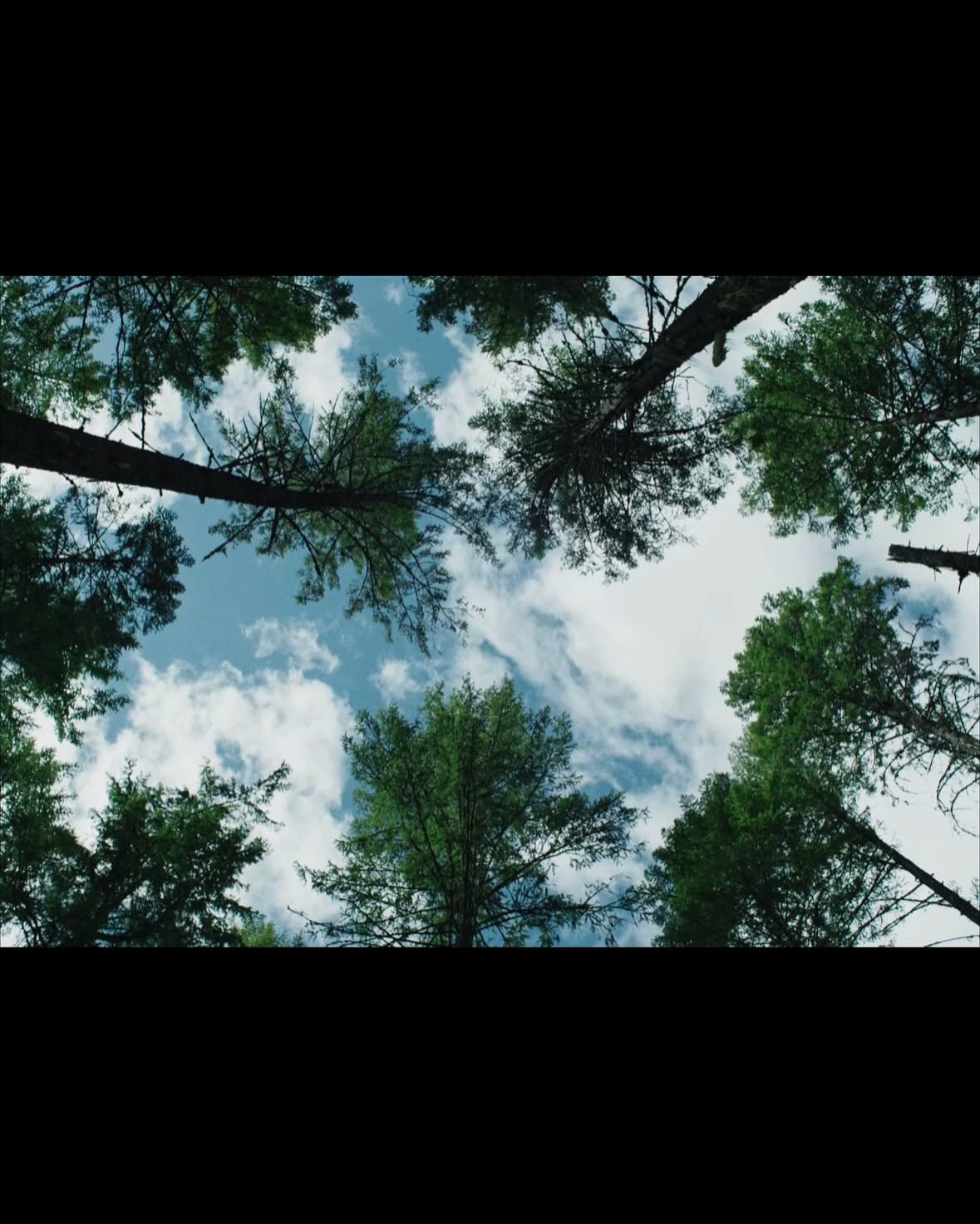 เพชร - เผ่าเพชร เจริญสุข