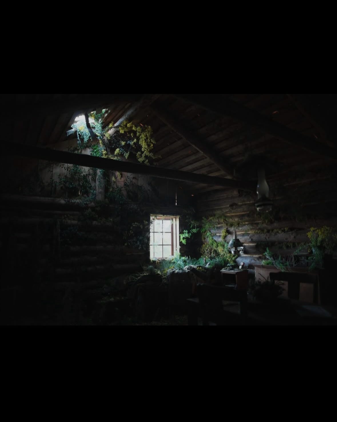 เพชร - เผ่าเพชร เจริญสุข