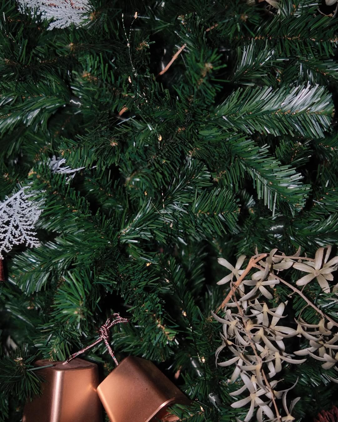 เพชร - เผ่าเพชร เจริญสุข