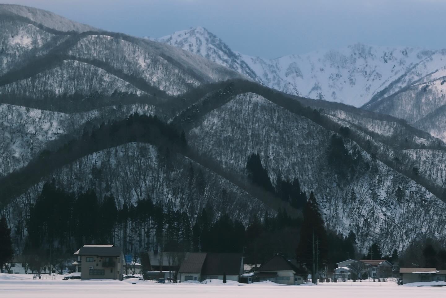 เพชร - เผ่าเพชร เจริญสุข