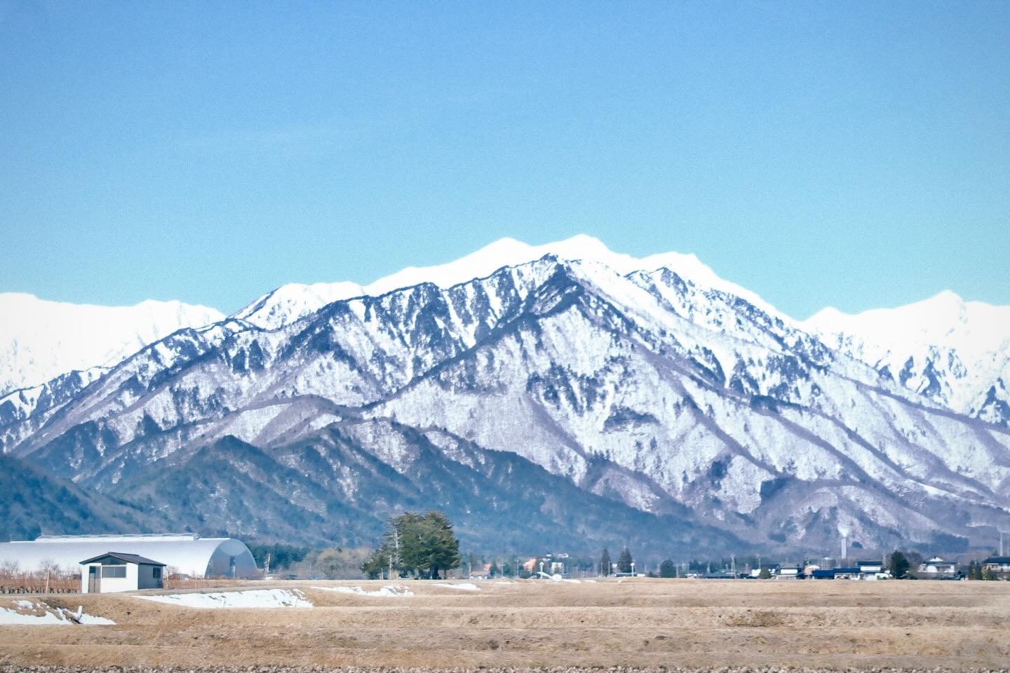 เพชร - เผ่าเพชร เจริญสุข