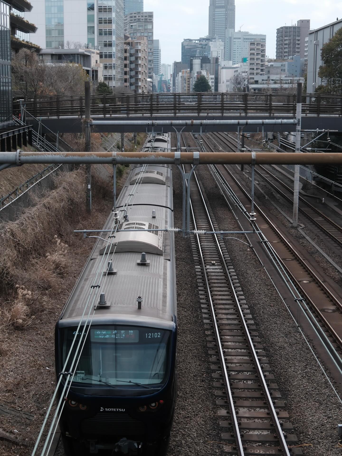 เพชร - เผ่าเพชร เจริญสุข