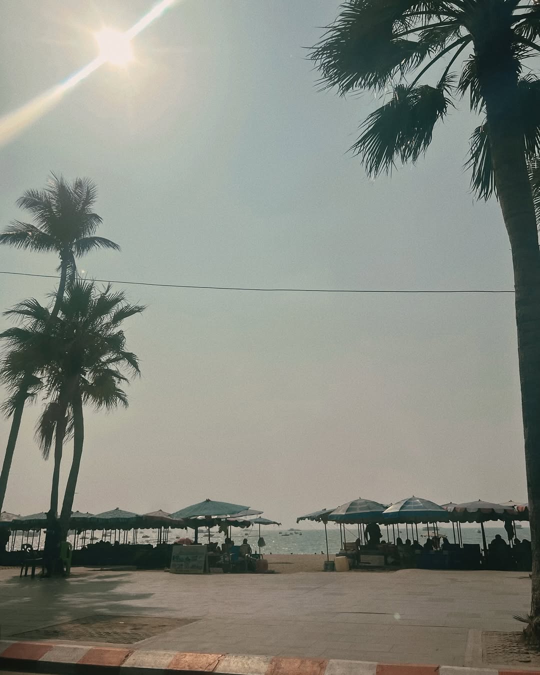 น้ำตาล - ทิพนารี วีรวัฒโนดม