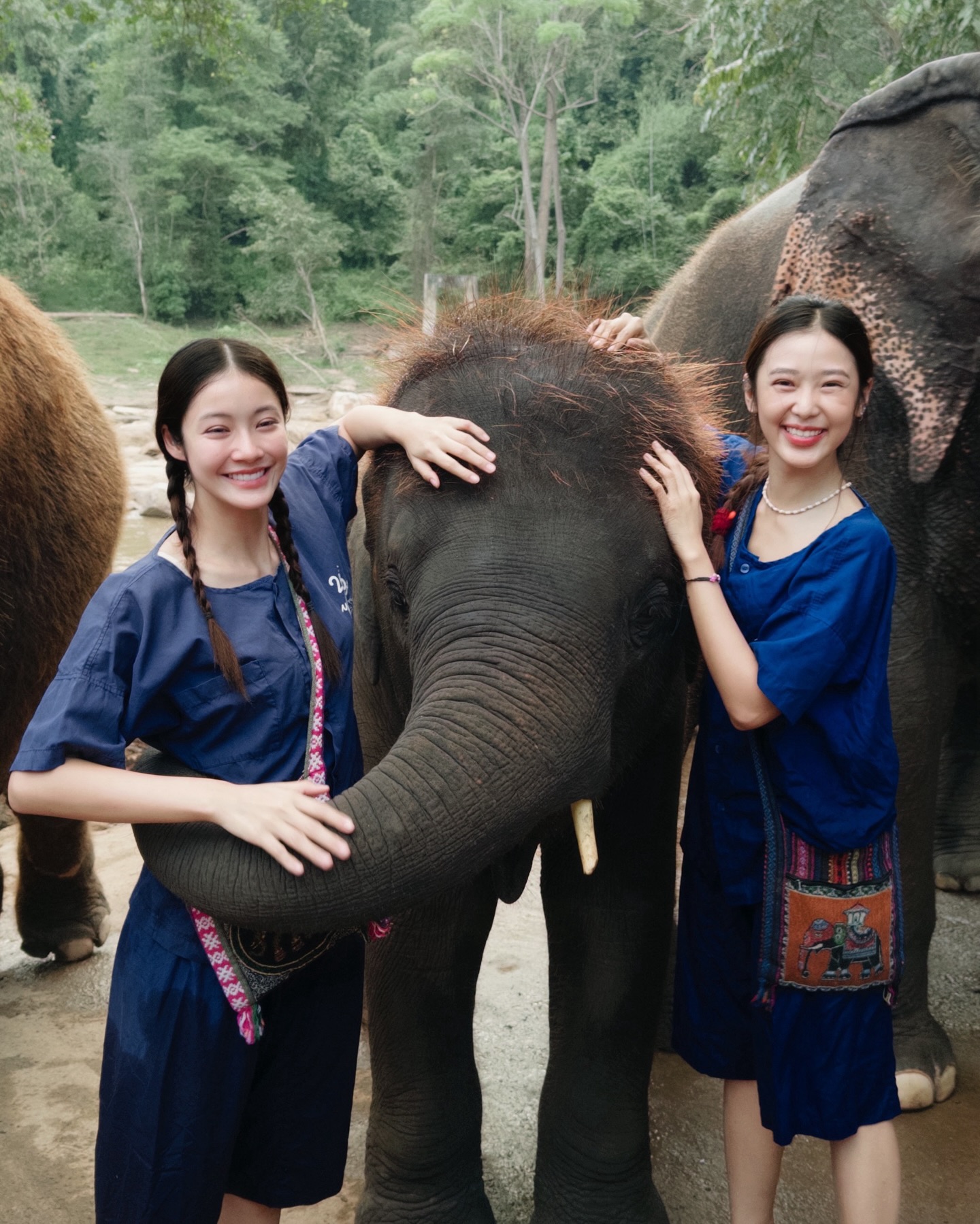 น้ำตาล - ทิพนารี วีรวัฒโนดม