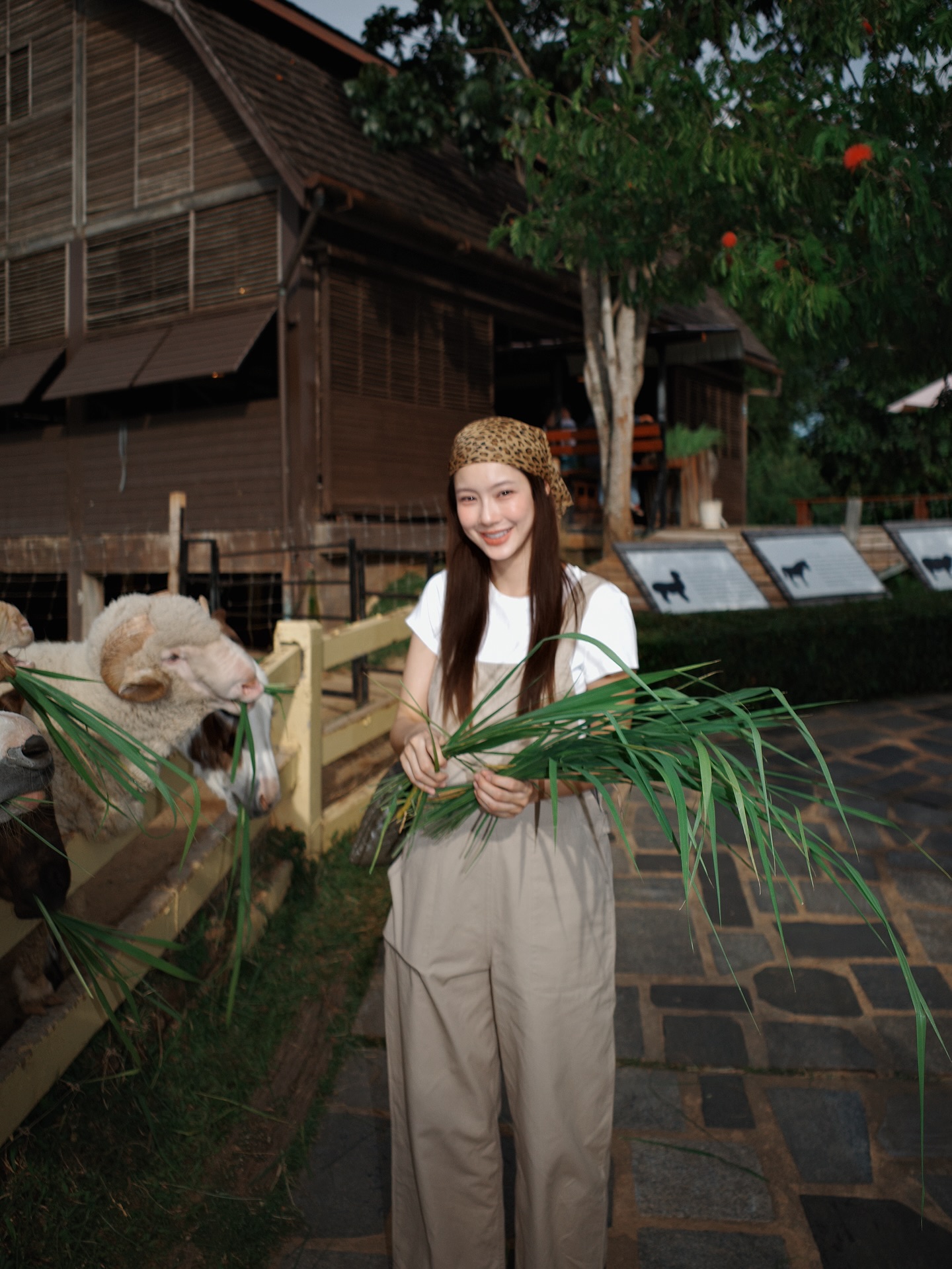 น้ำตาล - ทิพนารี วีรวัฒโนดม