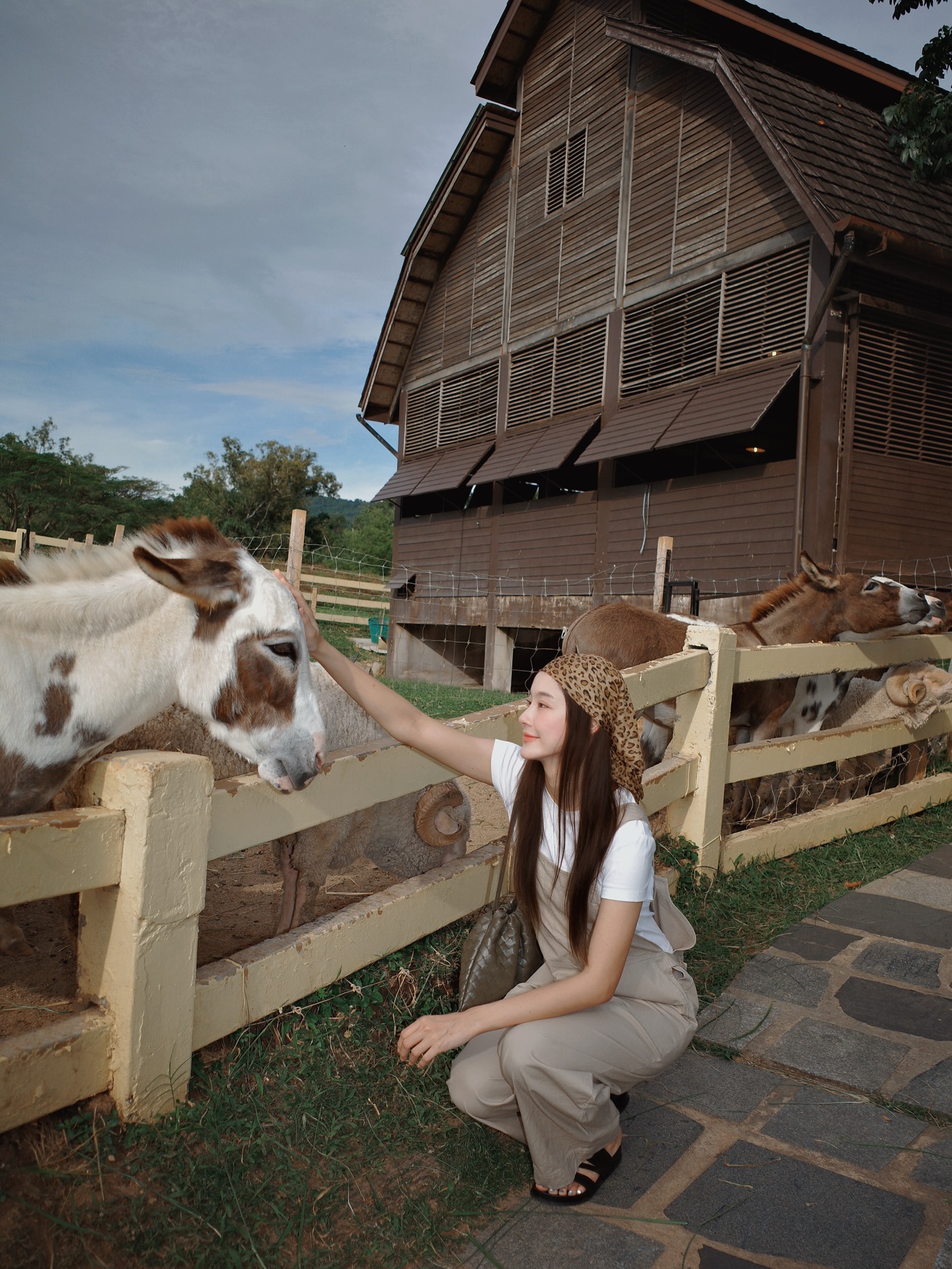 น้ำตาล - ทิพนารี วีรวัฒโนดม