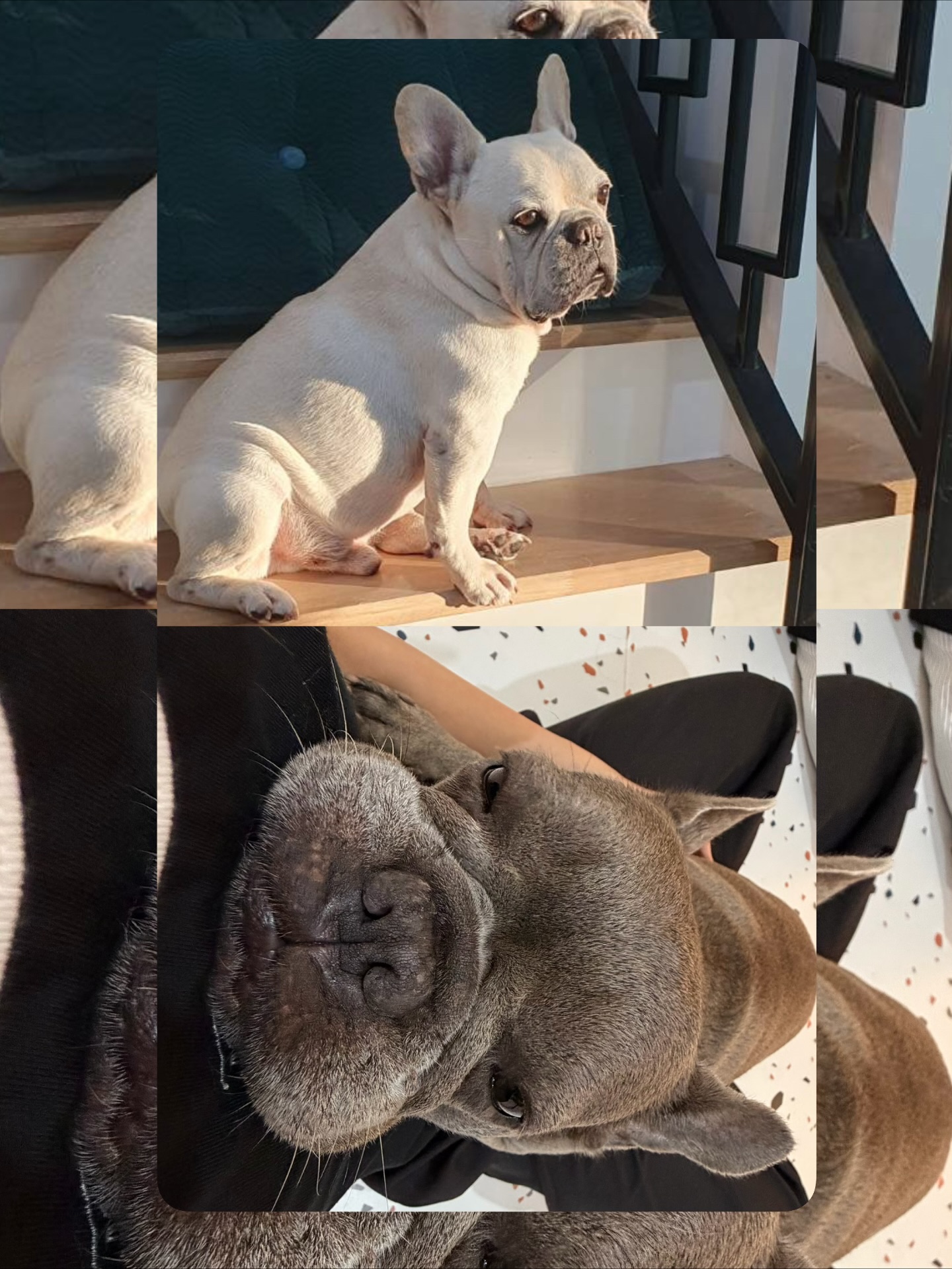 น้ำตาล - ทิพนารี วีรวัฒโนดม