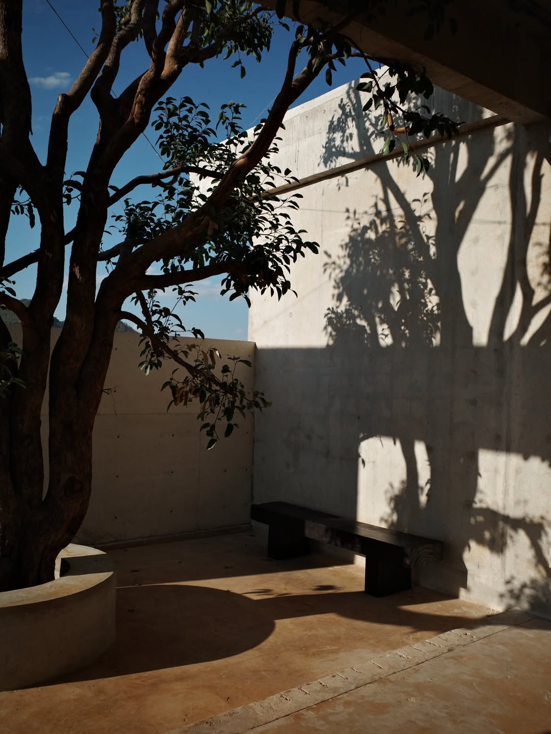 น้ำตาล - ทิพนารี วีรวัฒโนดม