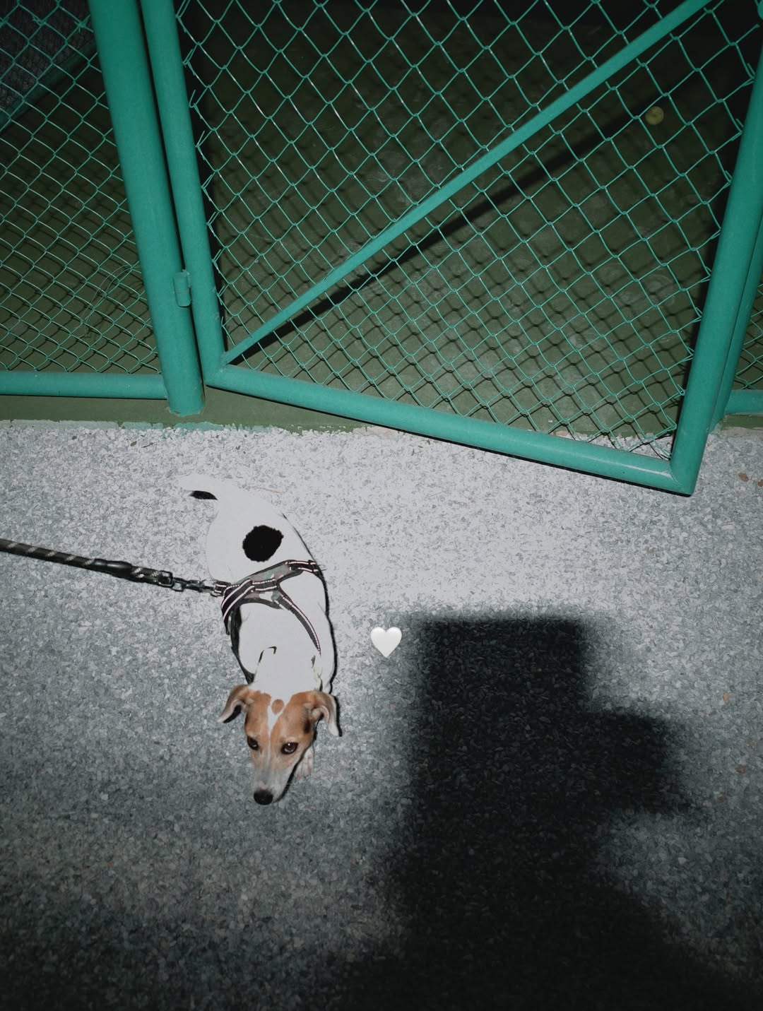 น้ำตาล - ทิพนารี วีรวัฒโนดม