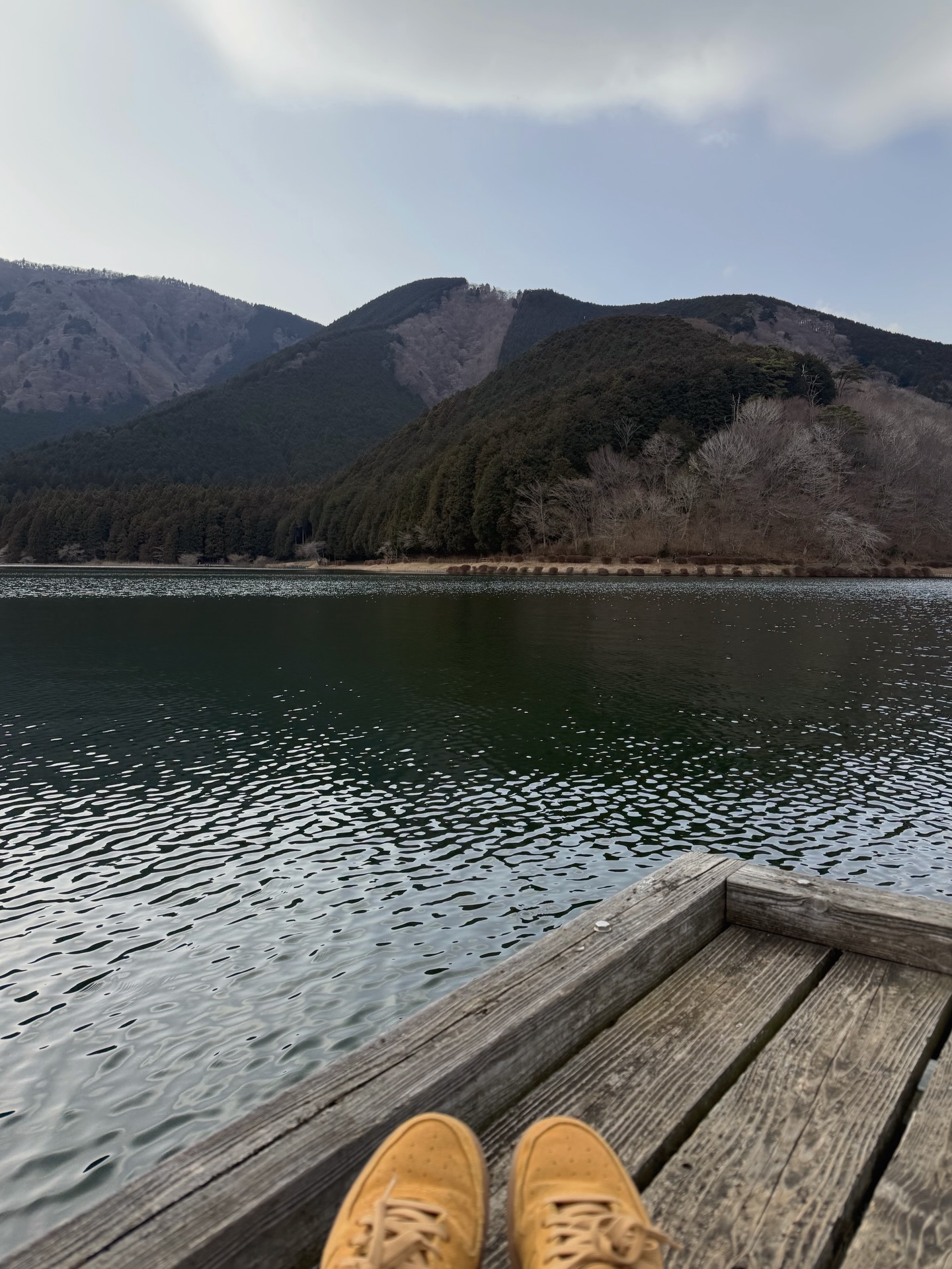 น้ำตาล - ทิพนารี วีรวัฒโนดม