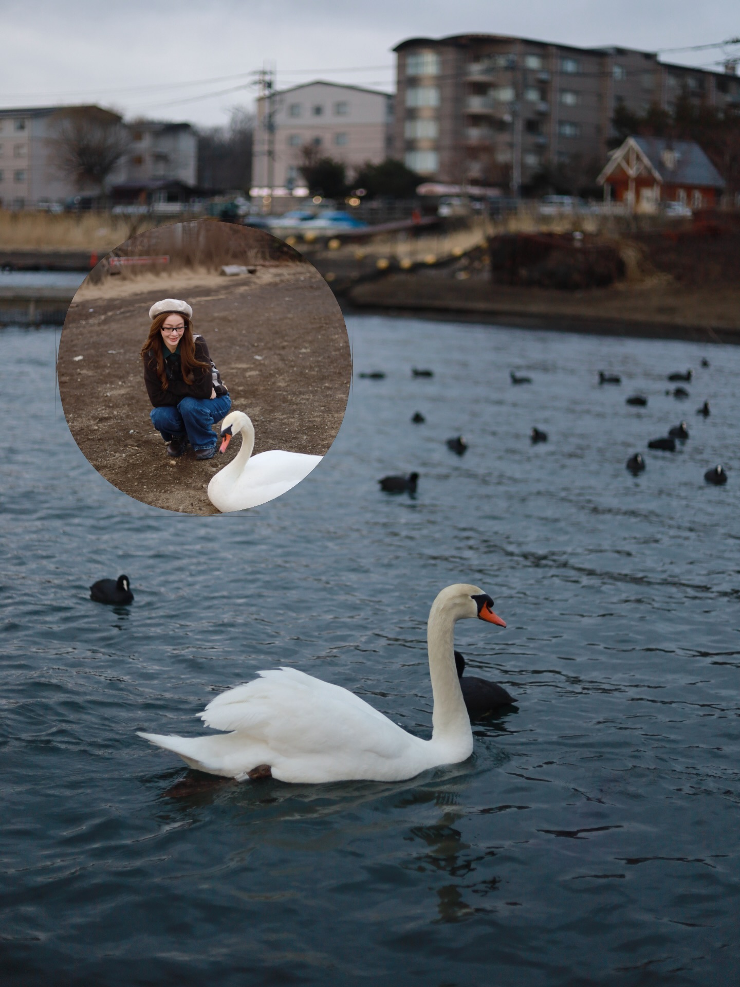 น้ำตาล - ทิพนารี วีรวัฒโนดม