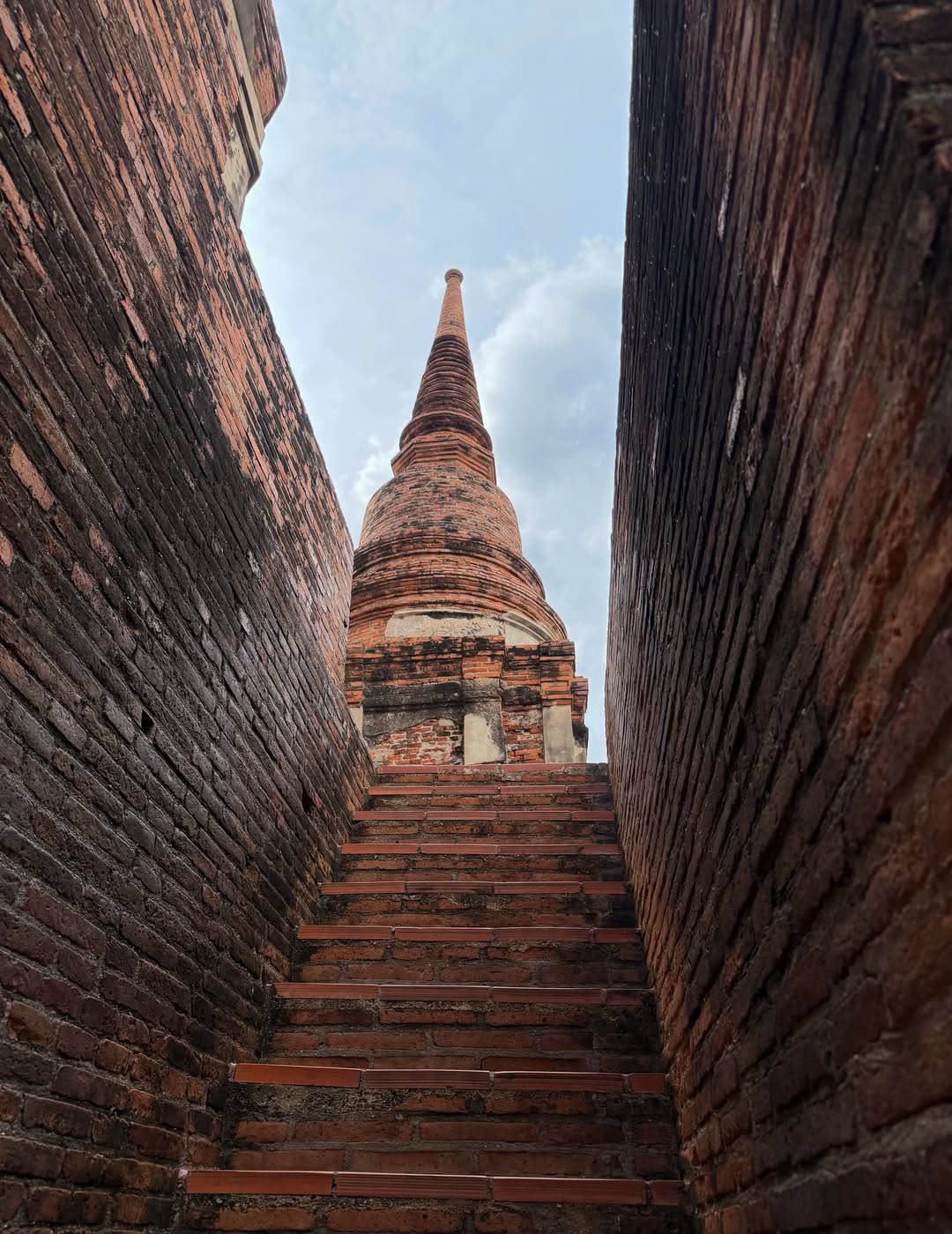น้ำตาล - ทิพนารี วีรวัฒโนดม