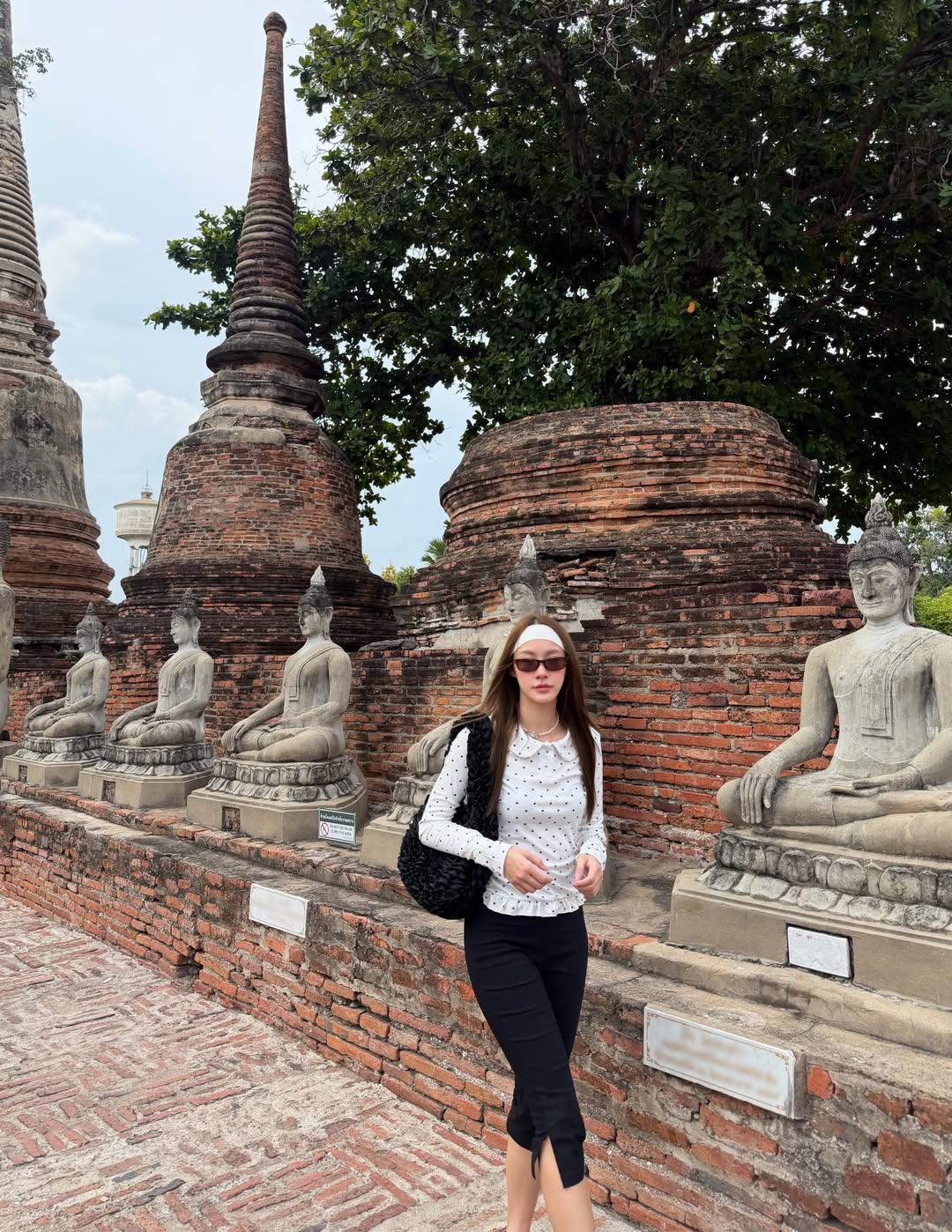 น้ำตาล - ทิพนารี วีรวัฒโนดม