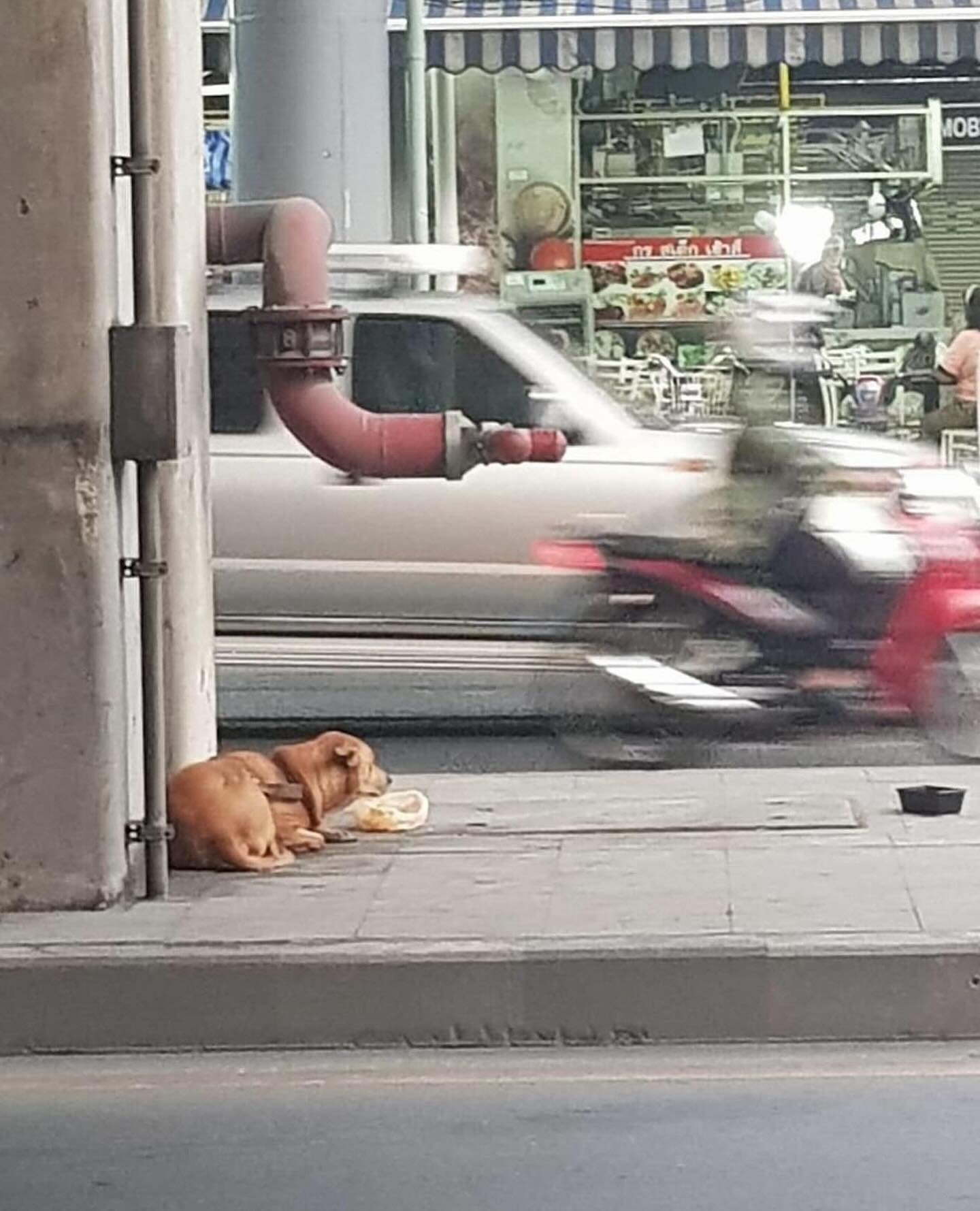 ต้นหอม - ศกุนตลา เทียนไพโรจน์