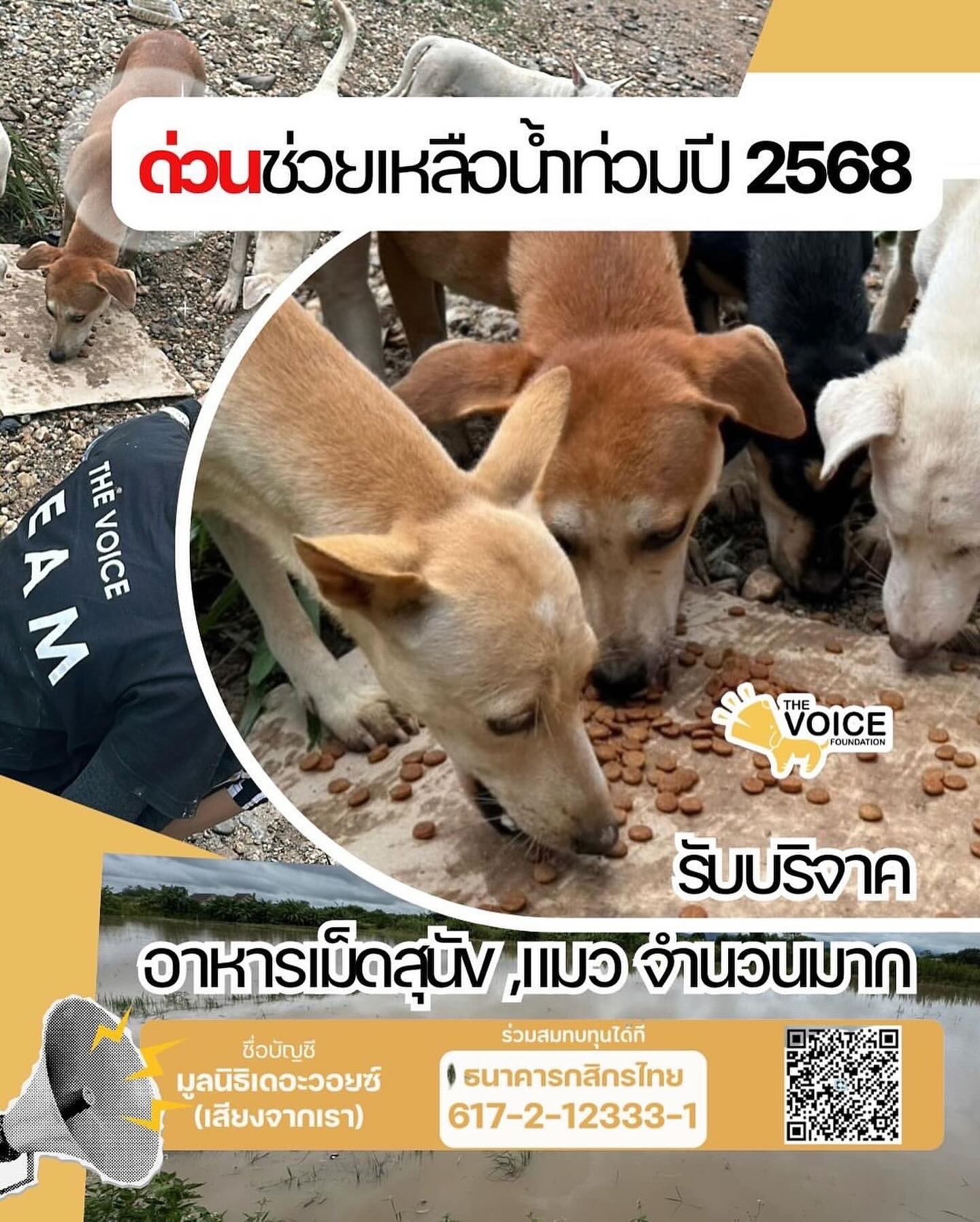 ต้นหอม - ศกุนตลา เทียนไพโรจน์