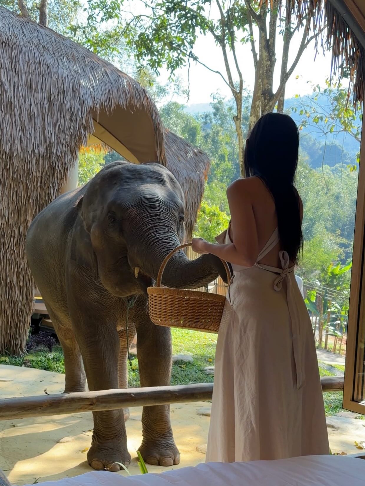 ต้นหอม - ศกุนตลา เทียนไพโรจน์