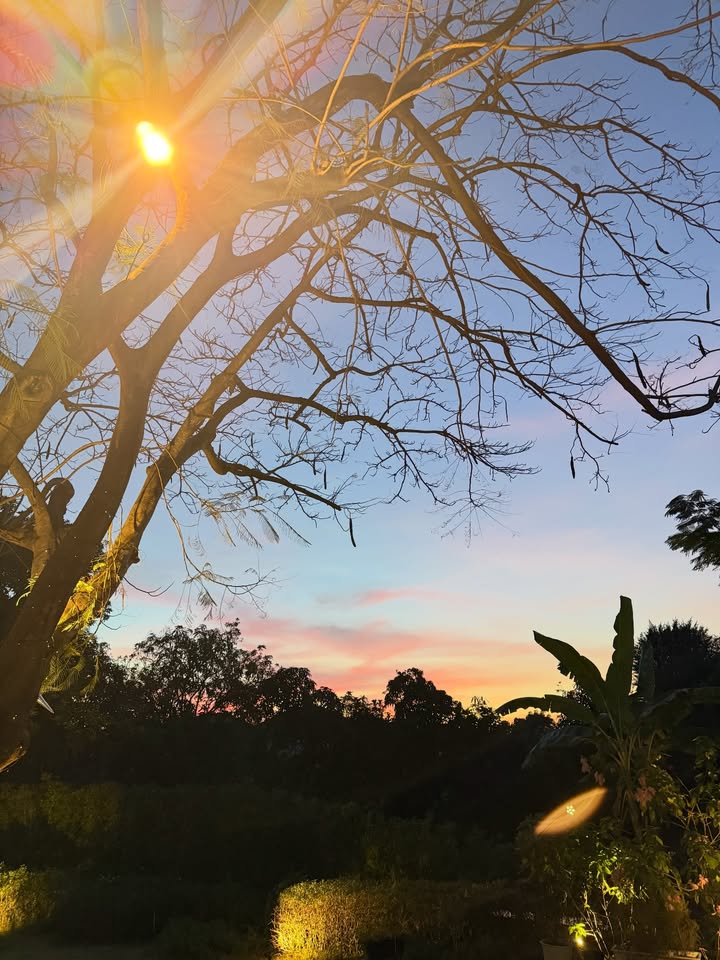 ปราง - กัญญ์ณรัณ วงศ์ขจรไกล