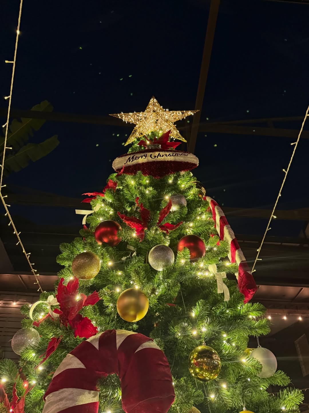 ปราง - กัญญ์ณรัณ วงศ์ขจรไกล