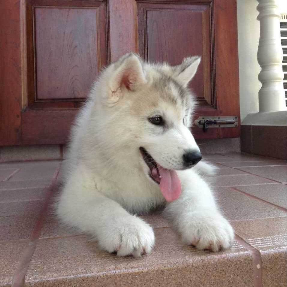 ยูโด - ธรรม์ธัช ธารินทร์ภิรมย์