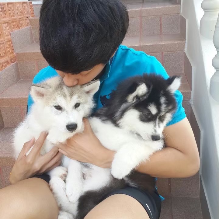 ยูโด - ธรรม์ธัช ธารินทร์ภิรมย์