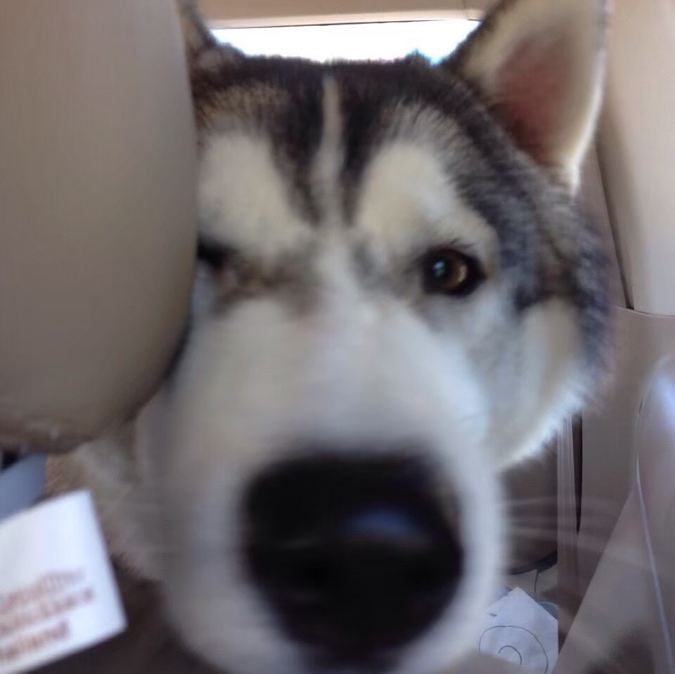 ยูโด - ธรรม์ธัช ธารินทร์ภิรมย์