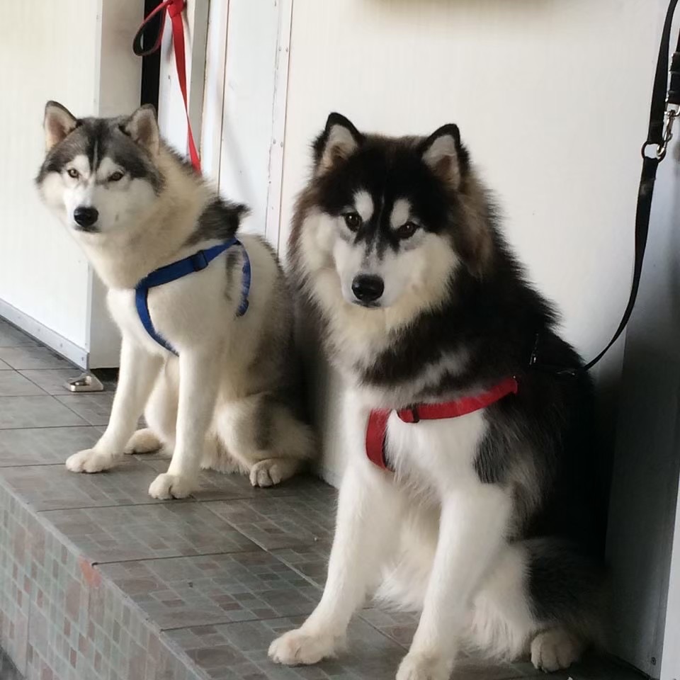 ยูโด - ธรรม์ธัช ธารินทร์ภิรมย์