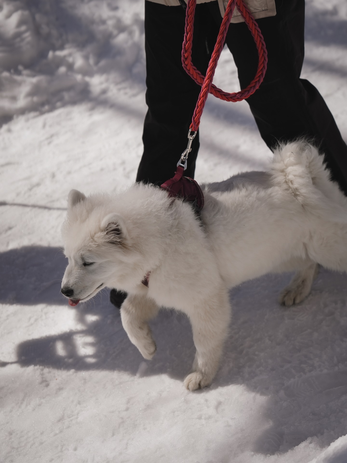 ยูโด - ธรรม์ธัช ธารินทร์ภิรมย์
