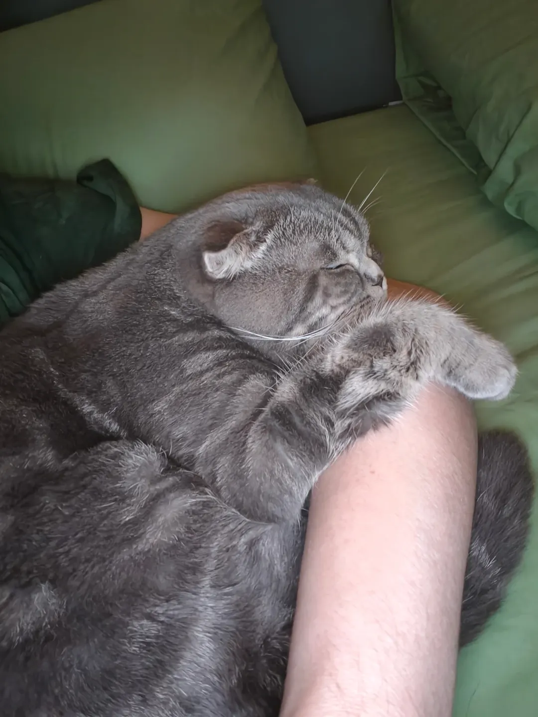 ซันนี่ สุวรรณเมธานนท์