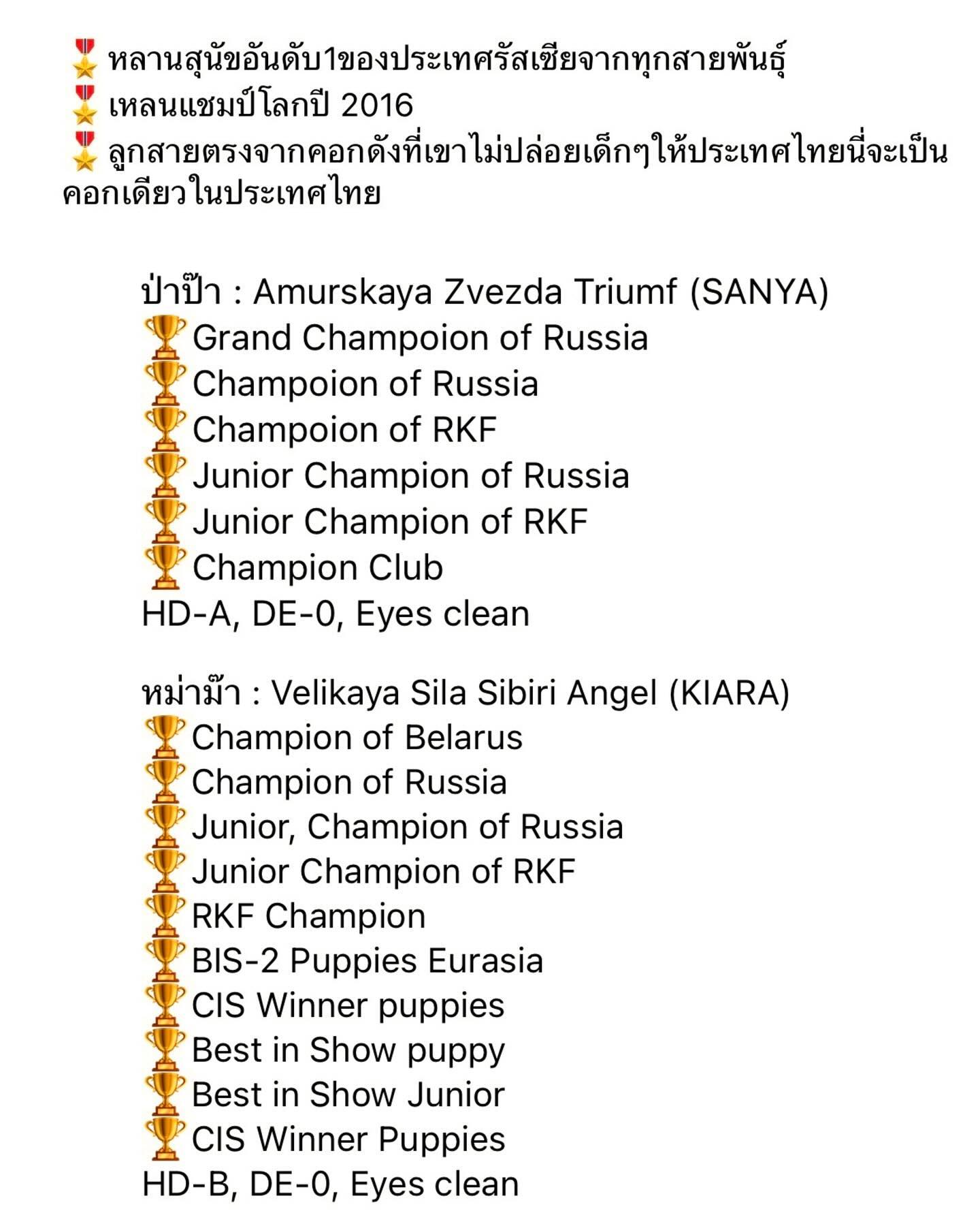 ดัง - ณัฎฐ์ฐชัย บุญประเสริฐ