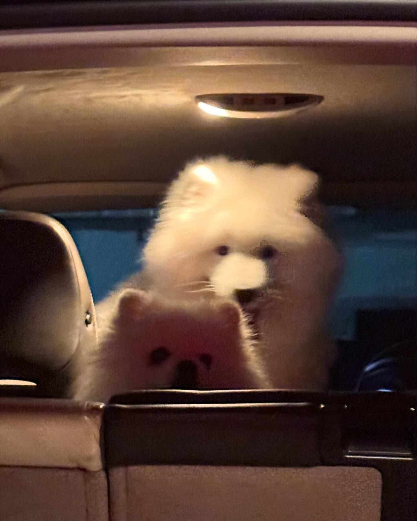 ดัง - ณัฎฐ์ฐชัย บุญประเสริฐ