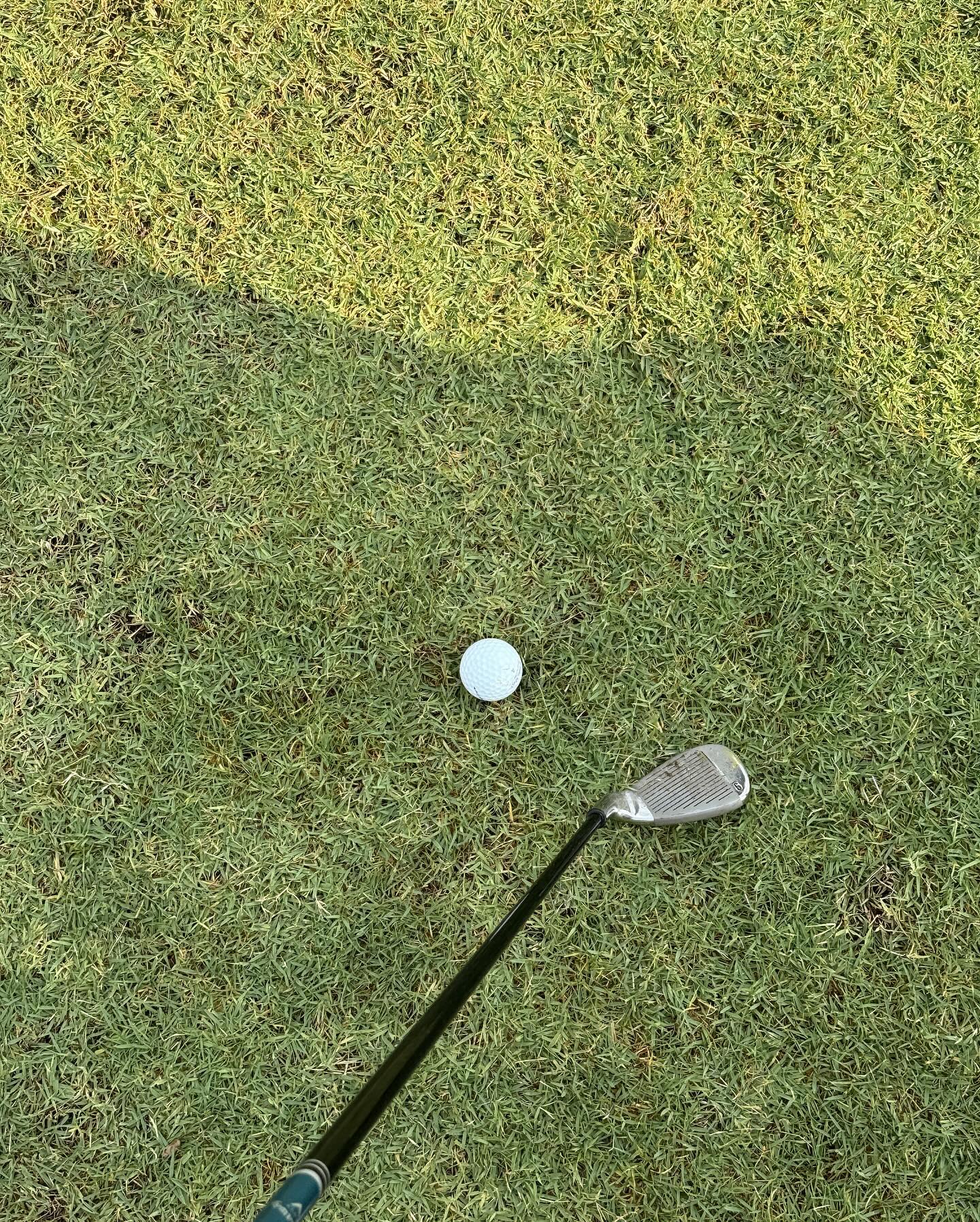 ดัง - ณัฎฐ์ฐชัย บุญประเสริฐ