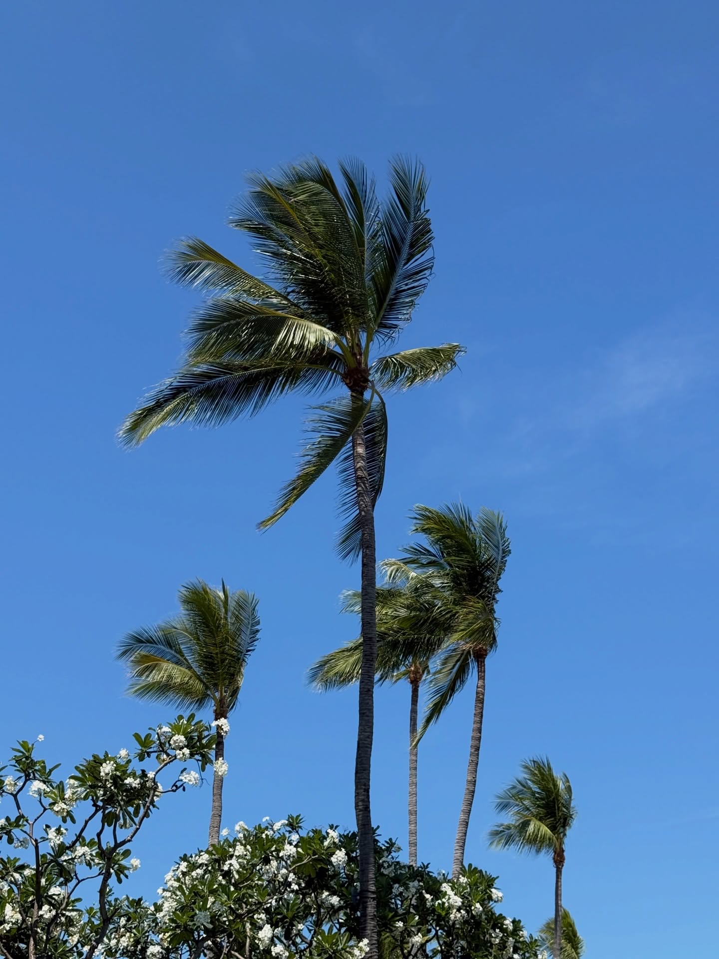 ดัง - ณัฎฐ์ฐชัย บุญประเสริฐ