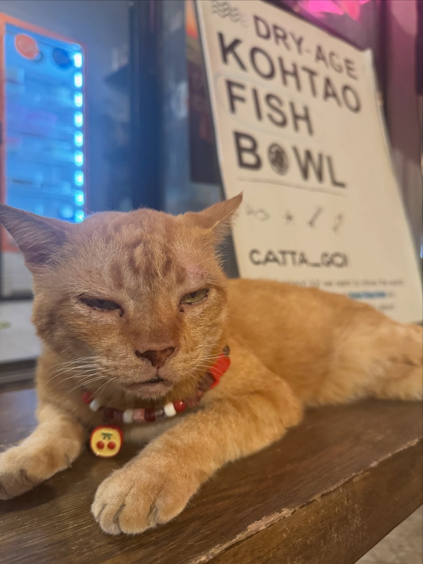 เก้า - สุภัสสรา ธนชาต