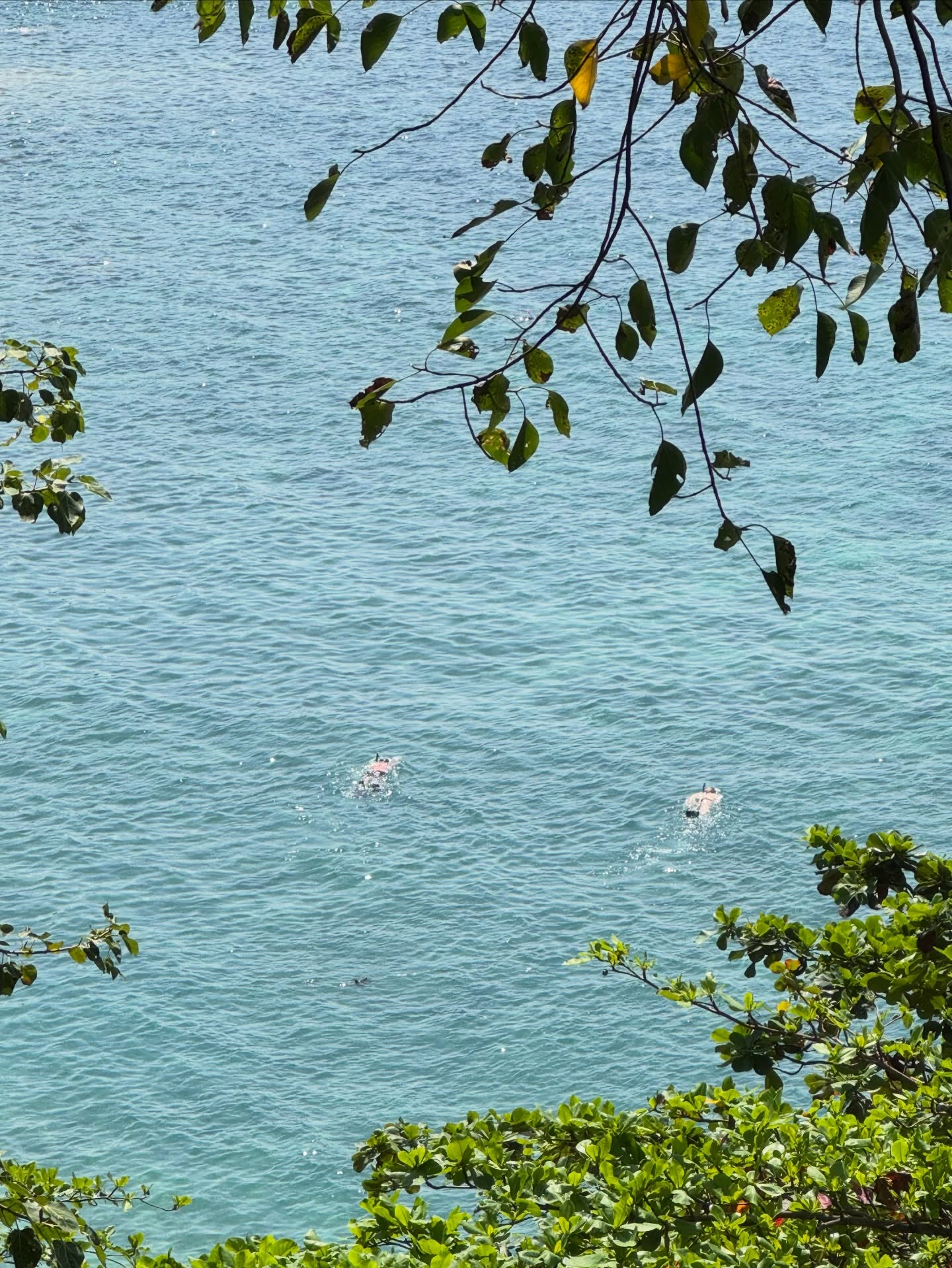 เก้า - สุภัสสรา ธนชาต