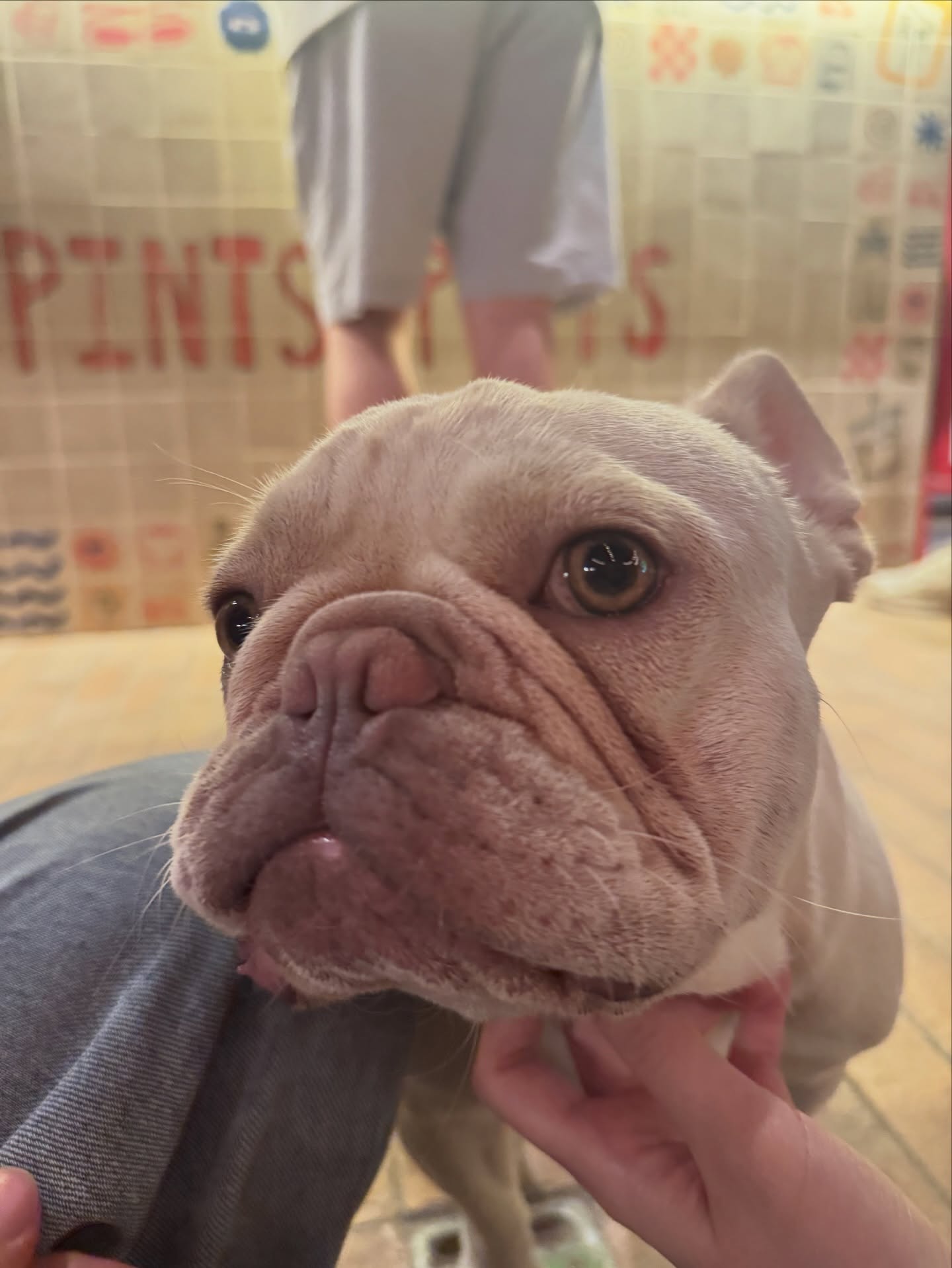 เก้า - สุภัสสรา ธนชาต