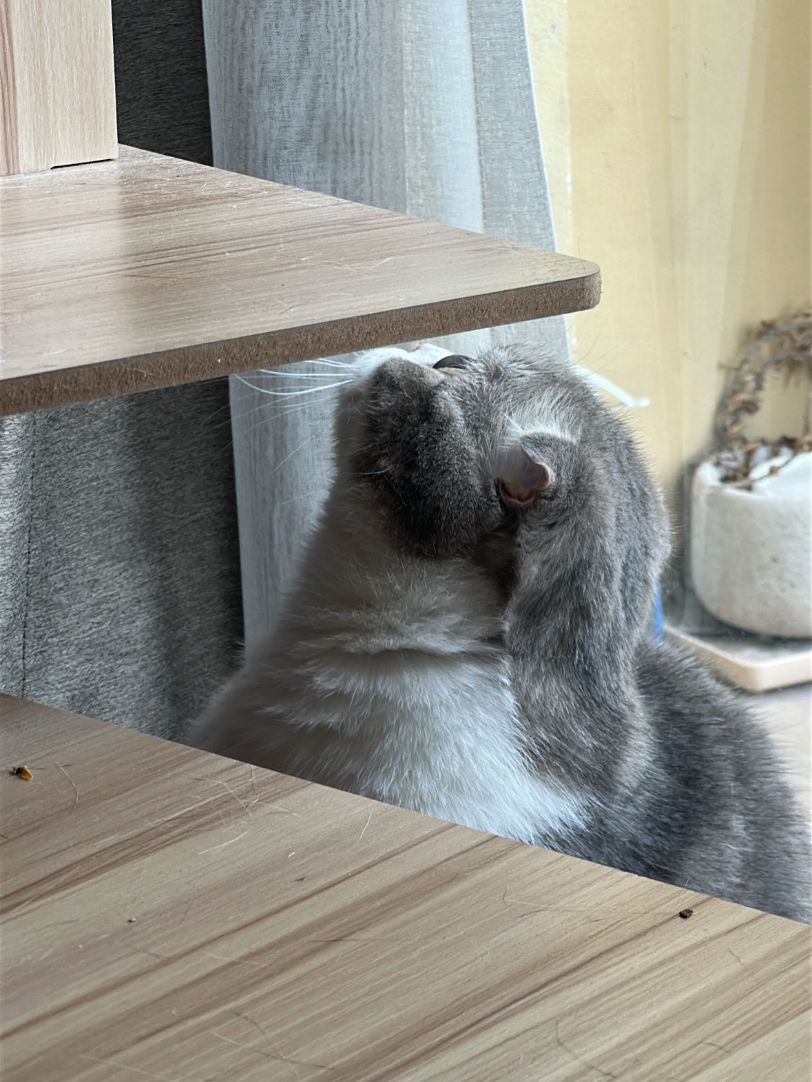 ฮาร์ท - ชุติวัฒน์ จันเคน