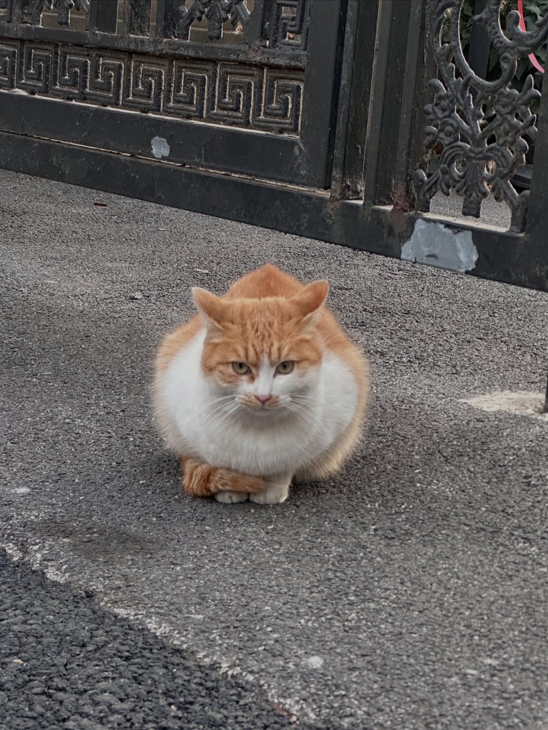 ฮาร์ท - ชุติวัฒน์ จันเคน