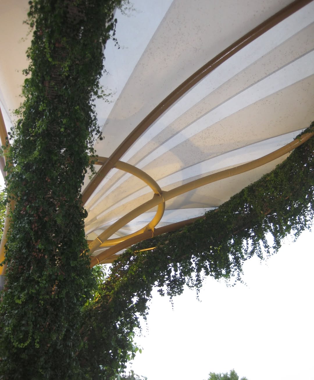 คูเปอร์ - ภัทรพสิษฐ์ ณ สงขลา