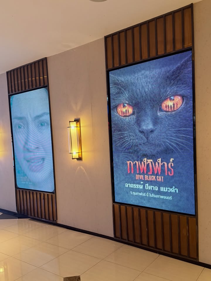 คูเปอร์ - ภัทรพสิษฐ์ ณ สงขลา