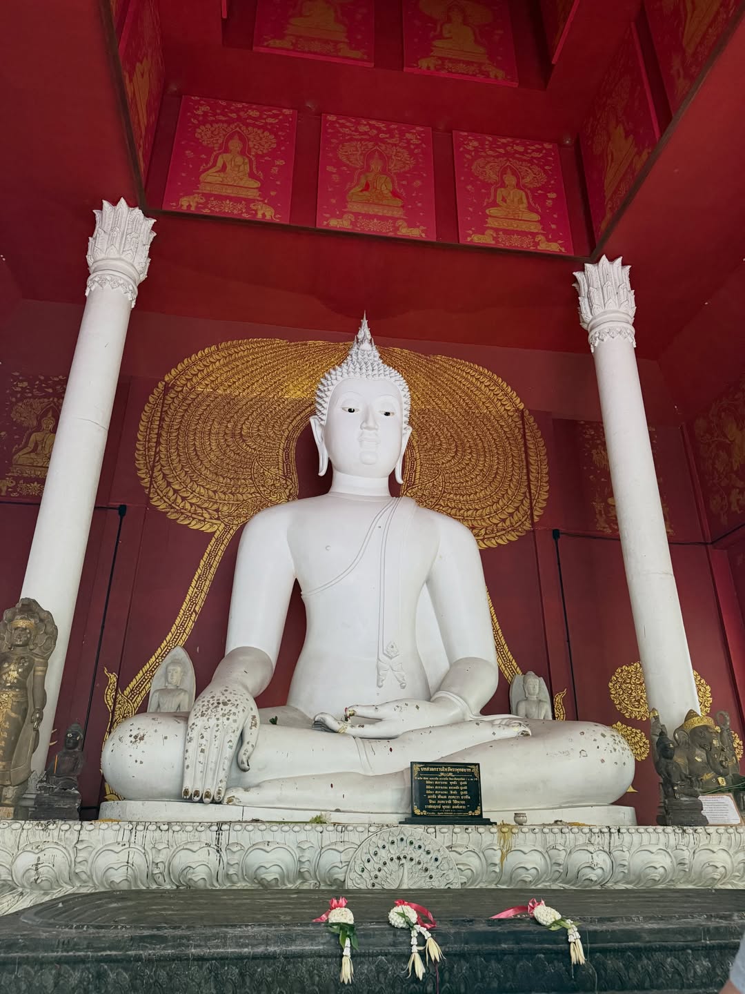 คูเปอร์ - ภัทรพสิษฐ์ ณ สงขลา